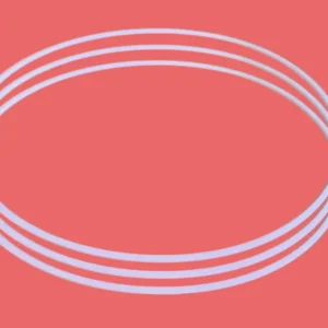 Ring seal