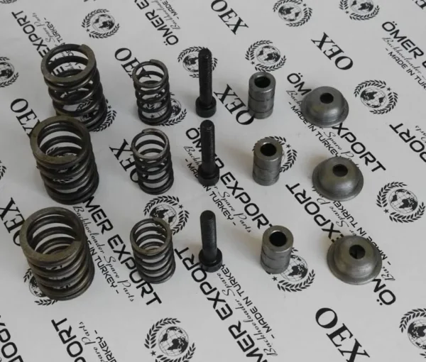 066616 carraro repair kit